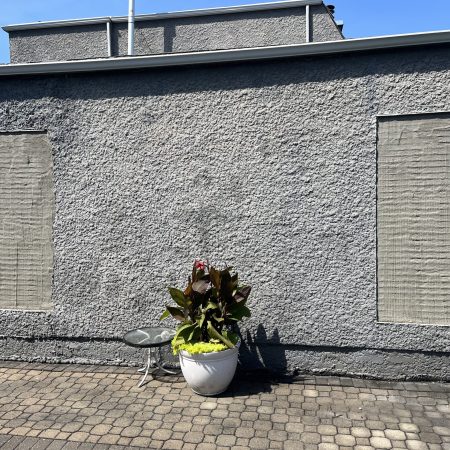 Garage Window Stucco Patching