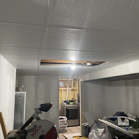 Basement Finishing With Drop-Down Ceiling