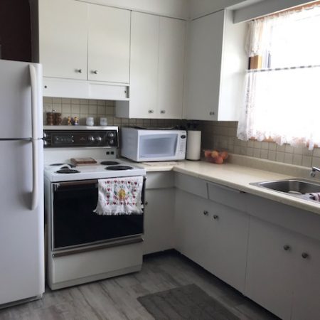 Retro Kitchen Cabinets With A New Paint Job & Handles