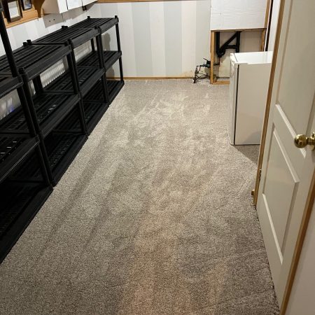 New Basement Carpet And Storage Units