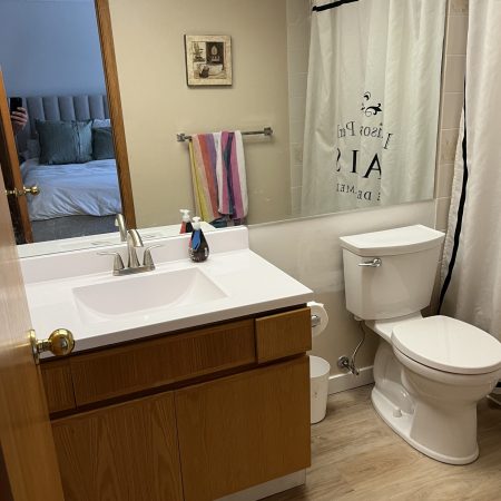 New Ensuiter Vanity & Toilet